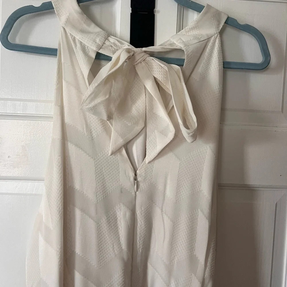 Adriana Papell plus size dress - Picture 5 of 5
